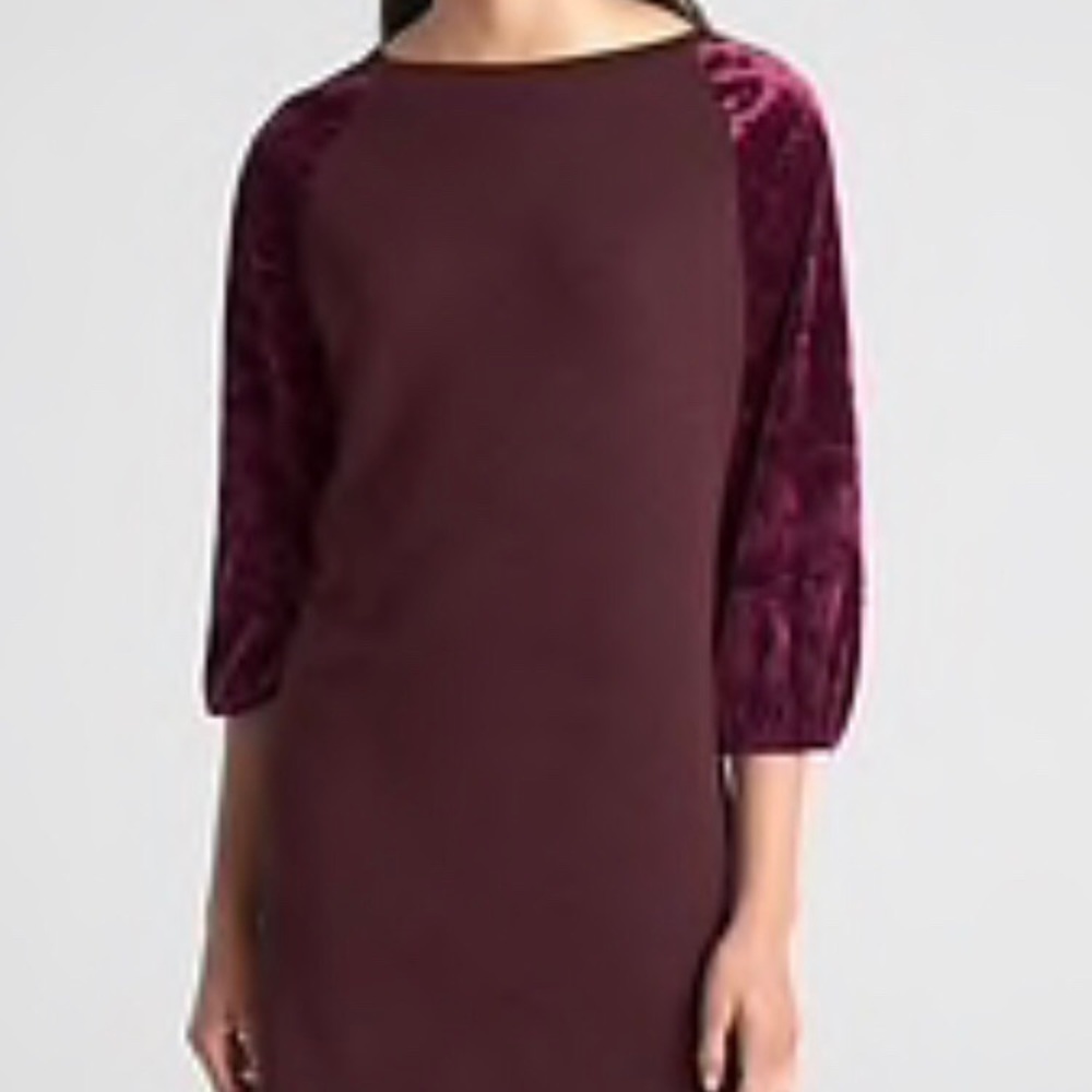 NWT Gap Soft velvet raglan t-shirt dress Small
